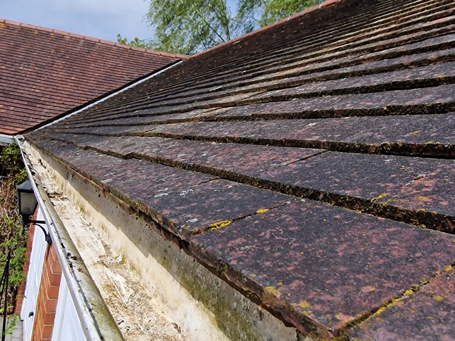 Gutter full of moss and debris before clearing
