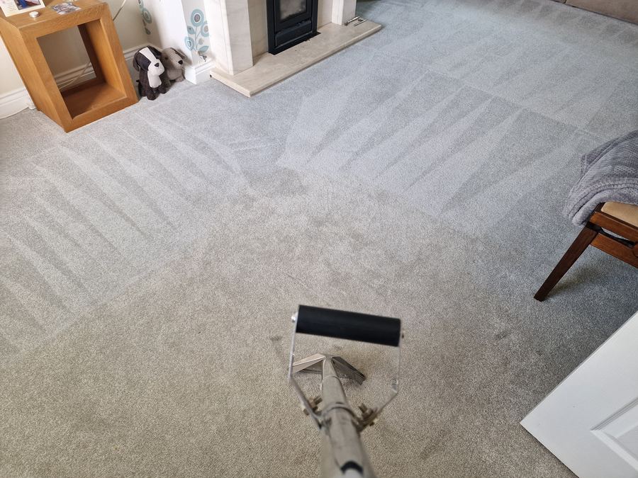 Carpet with extraction lines after cleaning